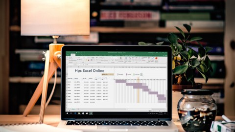 DV301 - Tự tay thiết kế công cụ Gantt Chart quản lý tiến độ dự án trong Excel